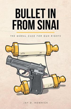 Cover of the book Bullet in from Sinai by Sharon M. Potteiger