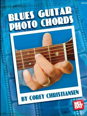 Book cover of Blues Guitar Photo Chords