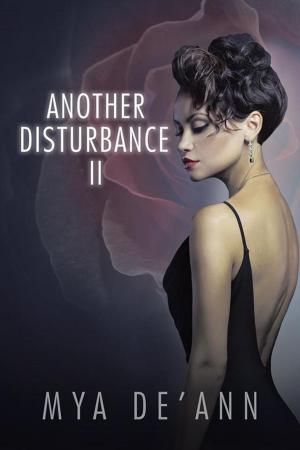 Cover of the book Another Disturbance Ii by Mathews Mutale
