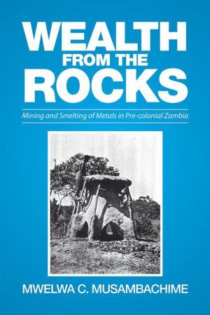 Cover of the book Wealth from the Rocks by Freda McEwen