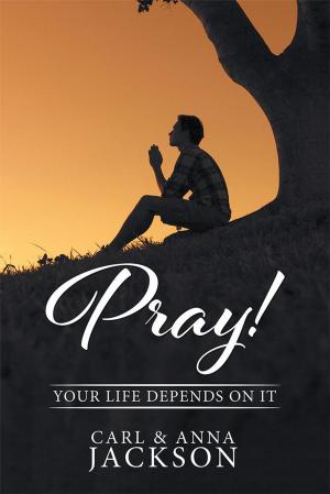 Cover of the book Pray! by David Lewis, Elizabeth Lewis