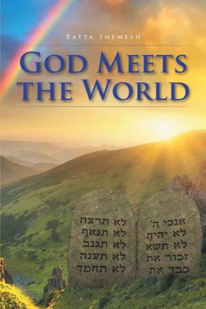 Cover of the book God Meets the World by Arlene Smith