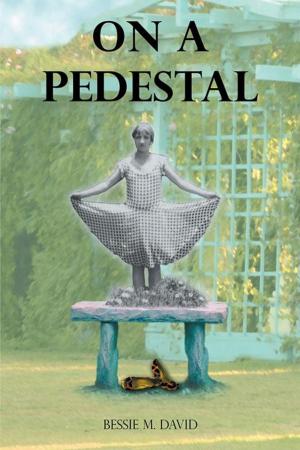 Cover of the book On a Pedestal by Carol Ann Conlin