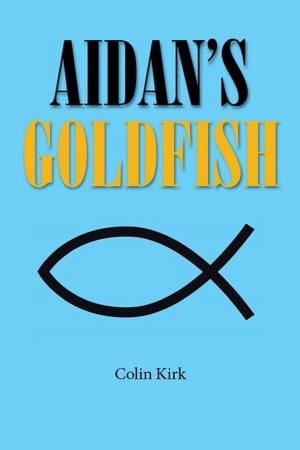 Cover of the book Aidan’S Goldfish by Barbara Forsyth, Paul Bender