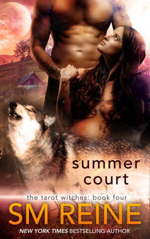 Cover of the book Summer Court by M.L. Steger