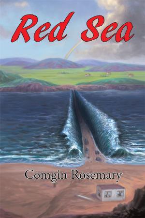 Cover of the book Red Sea by Janice Credit Houska