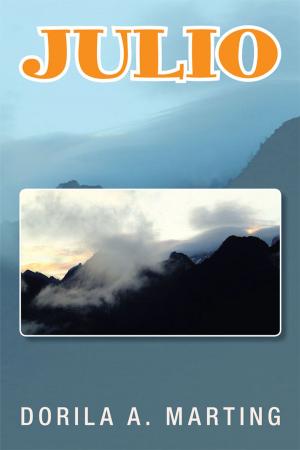 Cover of the book Julio by Jerzy Glowczewski