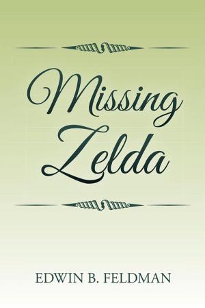 Cover of the book Missing Zelda by Hannah Nelson