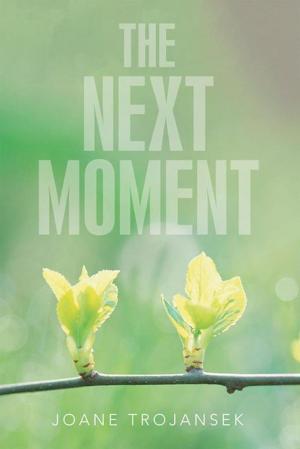 Cover of the book The Next Moment by DALE A WARREN
