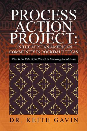 Cover of the book Process Action Project: on the African American Community in Rockdale Texas by Faith Hartmann