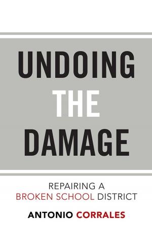 Cover of the book Undoing the Damage: Repairing a Broken School District by Marni S. Feldman