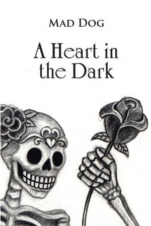 Cover of the book A Heart in the Dark by Paul Arthur Bell