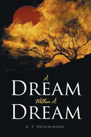 Cover of the book A Dream Within a Dream by Iron Balz