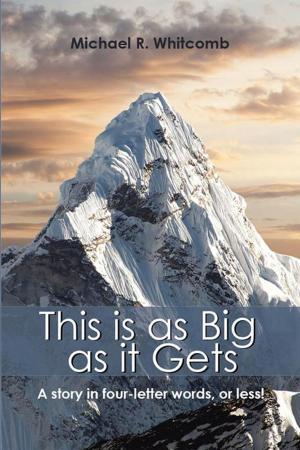 Cover of the book This Is as Big as It Gets by Joseph Charles Sisk
