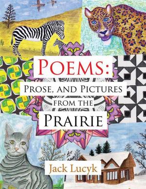 Cover of the book Poems: Prose, and Pictures from the Prairie by Ray Turner