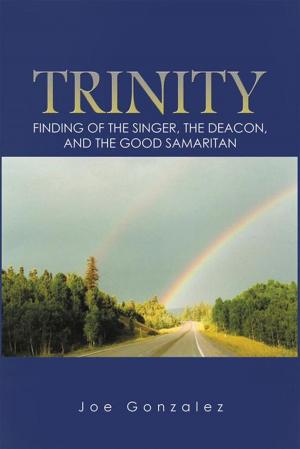 Cover of the book Trinity by David Garrett