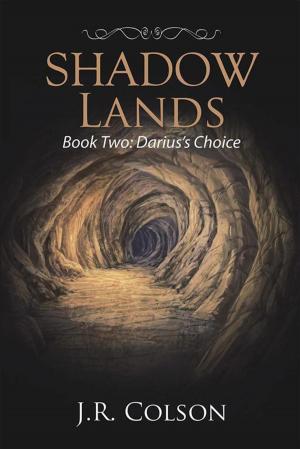 Cover of the book Shadow Lands by Ted Bagley