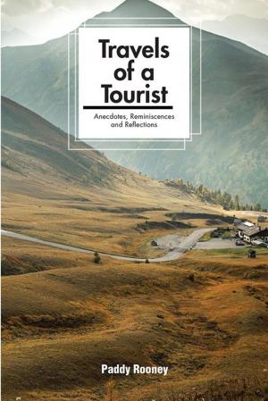 Cover of the book Travels of a Tourist by Thivhilaeli Simon Nedohe