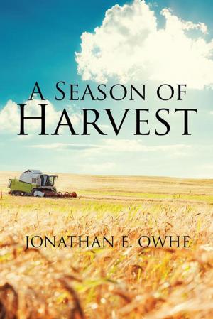 Cover of the book A Season of Harvest by Theodore Jerome cohen