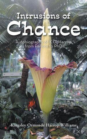 Cover of the book Intrusions of Chance by Bobby A Boudreau