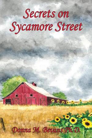 Cover of the book Secrets on Sycamore Street by Captain Wilbur H. Vantine