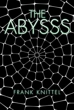 Cover of the book The Abysss by Sara L Daigle