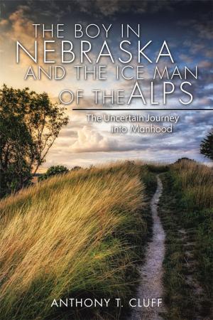 Cover of the book The Boy in Nebraska and the Ice Man of the Alps by Elizabeth ‘Taz’ Wilson
