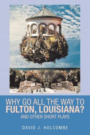 Cover of the book Why Go All the Way to Fulton, Louisiana? by Kevin Rakeen White