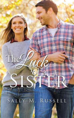 Cover of the book The Luck of a Sister by P.E. Peterson