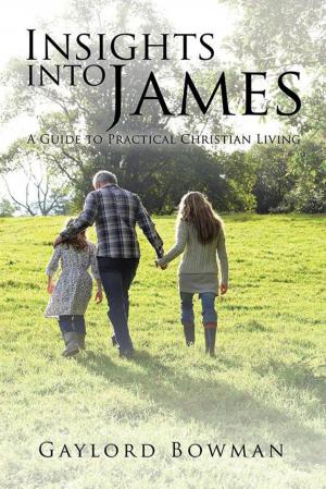 Cover of the book Insights into James by B-poet