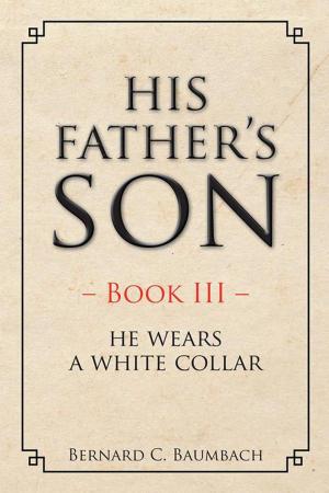 Cover of the book His Father’S Son by Authoress Terry E. Lyle