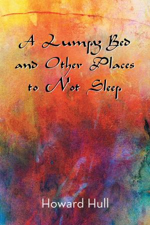 bigCover of the book A Lumpy Bed and Other Places to Not Sleep by 