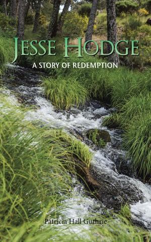 Cover of the book Jesse Hodge by Ashley Moffett