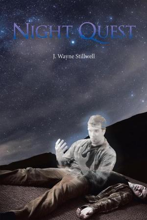 Cover of the book Night Quest by Kevin Reichelt