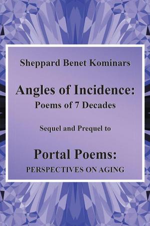 Cover of the book Angles of Incidence by Steven Holt