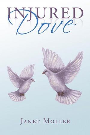 Cover of the book Injured Dove by harald rothermel