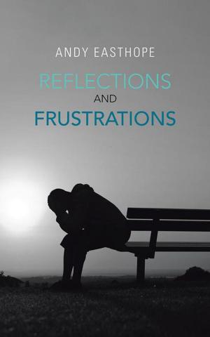 Cover of the book Reflections and Frustrations by Josh Berman