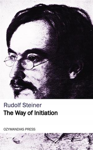 bigCover of the book The Way of Initiation by 