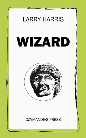 Cover of the book Wizard by Brea Nicole Bond