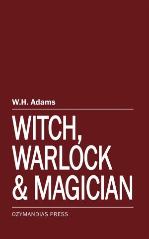Cover of the book Witch, Warlock and Magician by Matthew J. Pallamary, Paul Mayberry