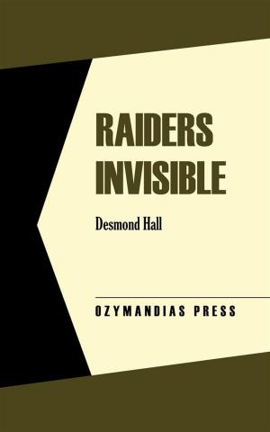 Cover of the book Raiders Invisible by Mary MacGregor