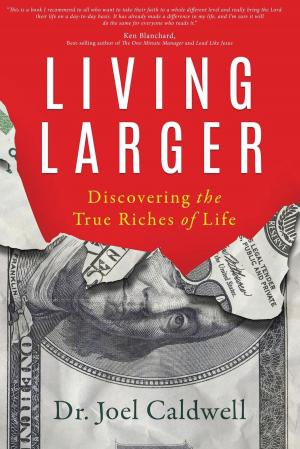 Cover of the book Living Larger by Vince McKee