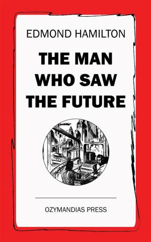 Cover of the book The Man Who Saw the Future by Charles Fontenay