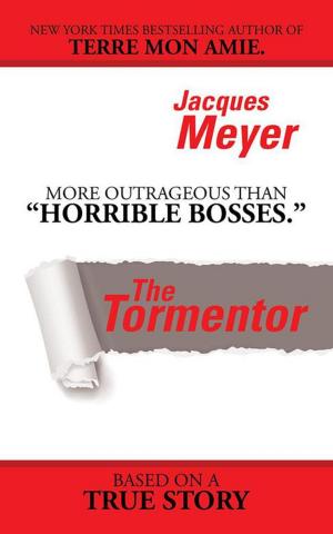 Cover of the book The Tormentor by Shelby Rayn