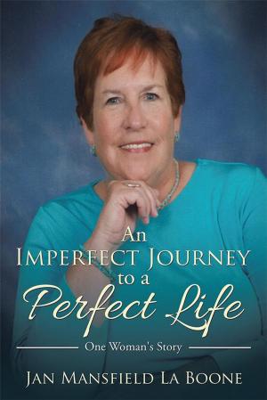 bigCover of the book An Imperfect Journey to a Perfect Life by 