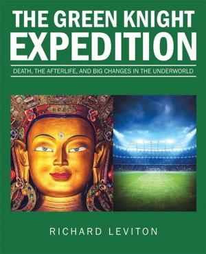 Book cover of The Green Knight Expedition