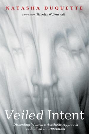 Cover of the book Veiled Intent by Derek C. Hatch