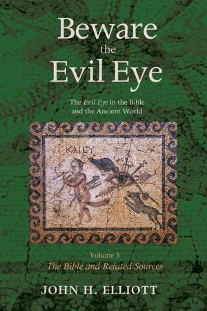 bigCover of the book Beware the Evil Eye Volume 3 by 