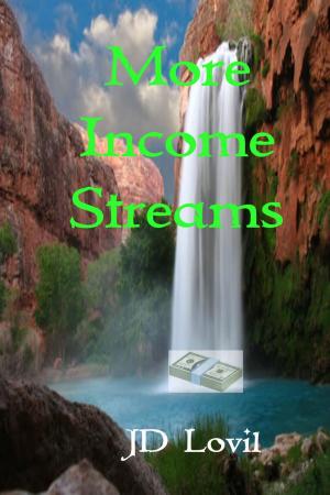 Book cover of More Income Streams