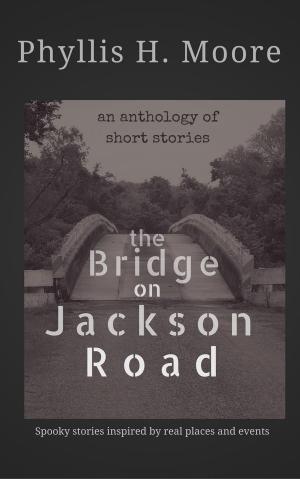 Cover of the book The Bridge on Jackson Road by Richard E.D. Jones